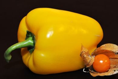 Dieter Himmel: Zum Anbeißen